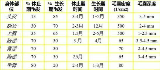 激光脱毛效果,影响脱毛因数,脱毛仪器厂家,脱毛激光产品