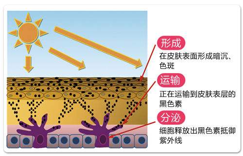 激光祛斑,美容仪器厂家,激光美容仪,操作美容仪器