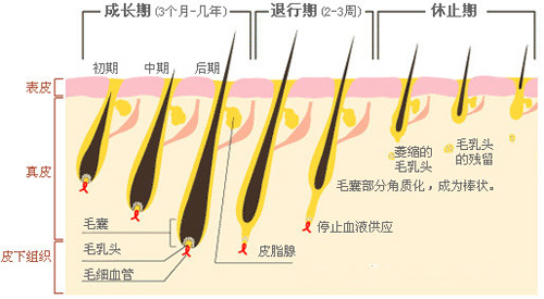 脱毛为什么一次性脱不干净？原因在这里