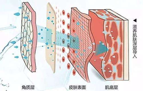 超微小气泡--真有那么神奇？