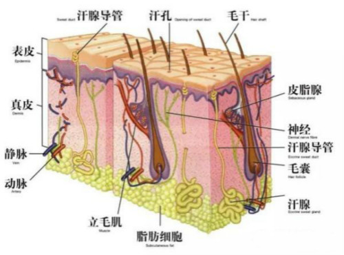 激光美容仪器有什么独特之处？