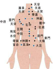 艾灸仪穴位图解