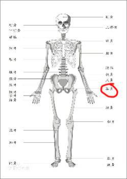 分娩后为什么盆骨会疼，盆骨肌修复仪是如何工作的？