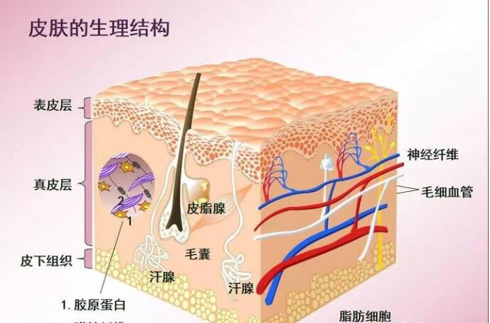 智能魔镜皮肤检测仪，让您护肤之前先认清自己的“脸”